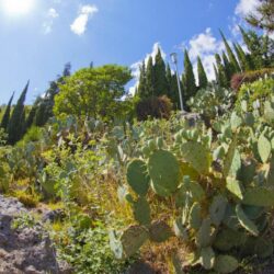 территория территория