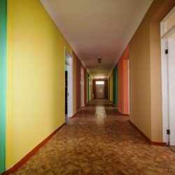 ДОЛ Дружба ДОЛ Дружба