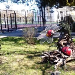 ДОЛ Дружба ДОЛ Дружба