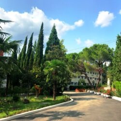 Детский оздоровительный лагерь 