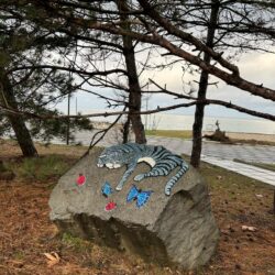 ДОЛ Радуга ДОЛ Радуга