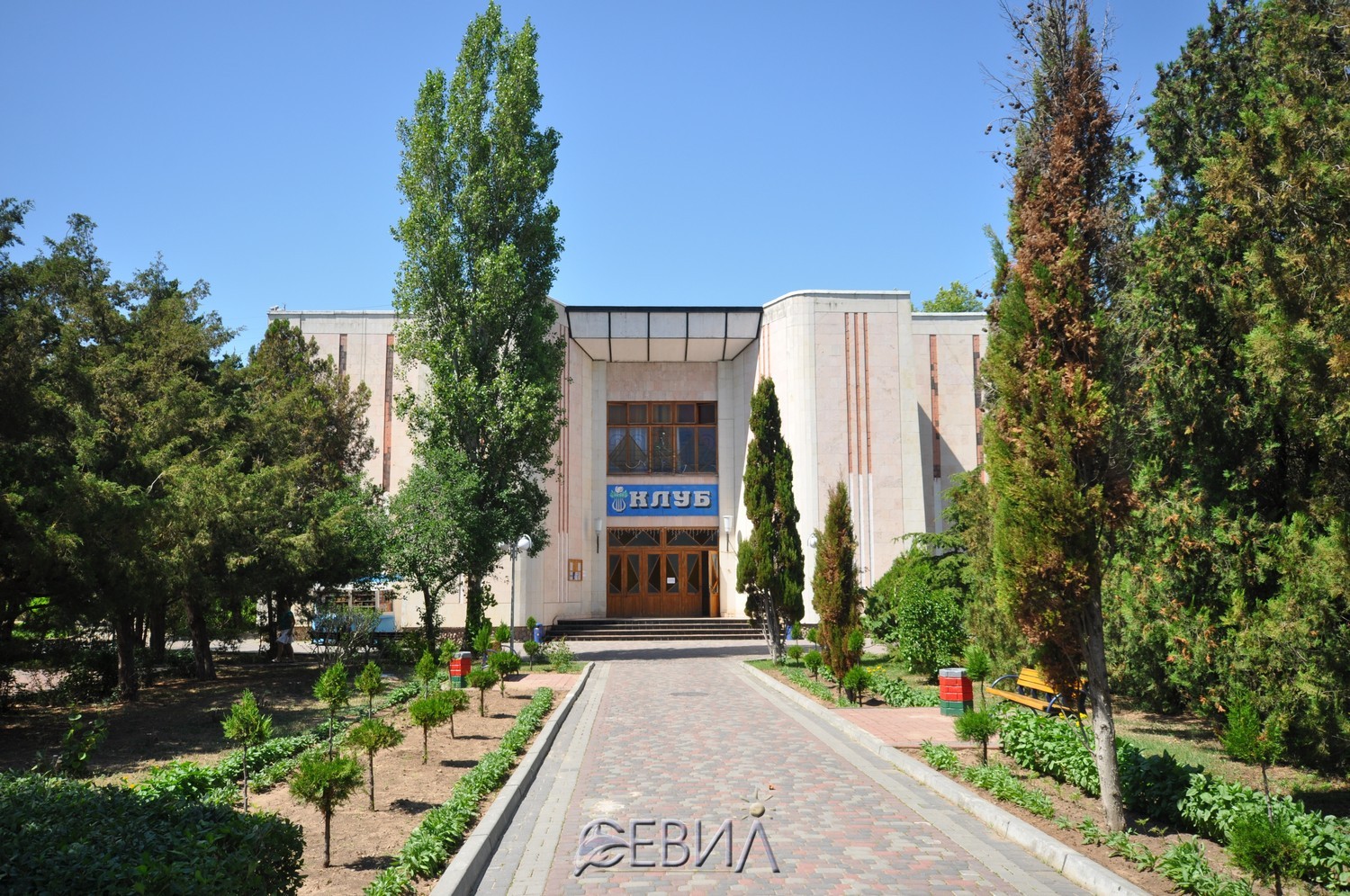 3751-534.jpg 3751-534.jpg