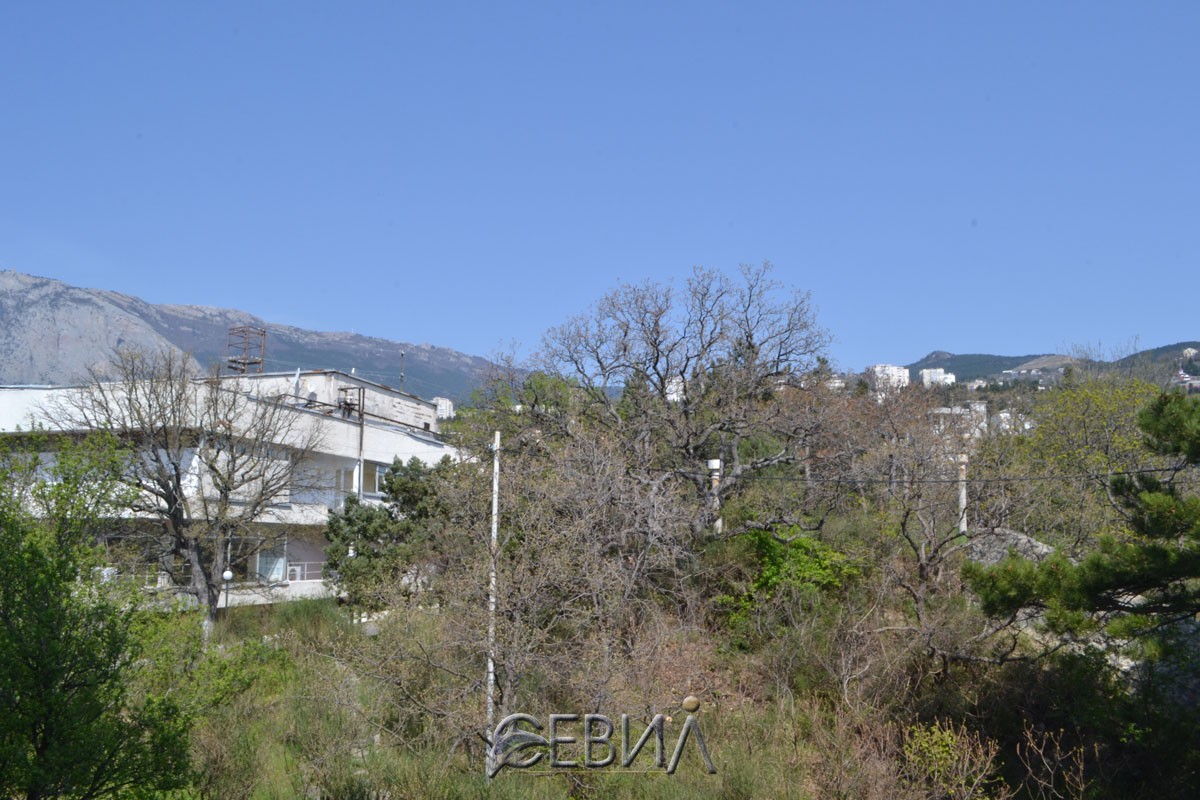 3803-6550.jpg 3803-6550.jpg