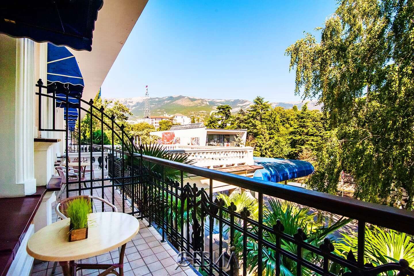 3853-12024.jpg 3853-12024.jpg