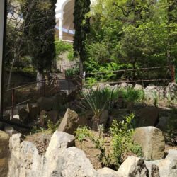 территория территория