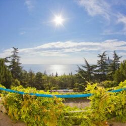 территория территория