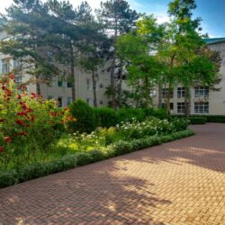 территория территория