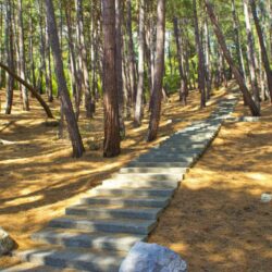 территория территория