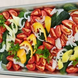 Дружба питание Дружба питание