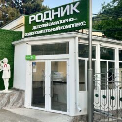 ДСОК Родник