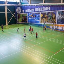 ДСОК Родник