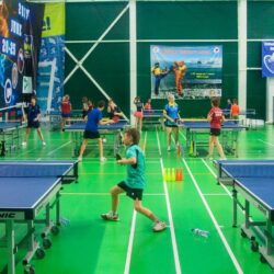 ДСОК Родник