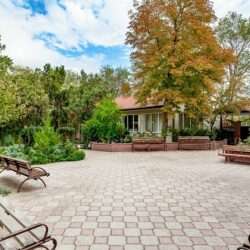 IMG_0488 copy IMG_0488 copy