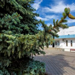 ДОЛ Гагарина