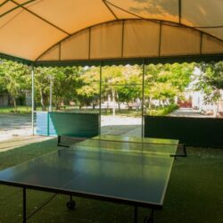 настольный теннис