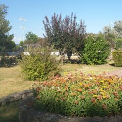 ДОЛ Лучистый