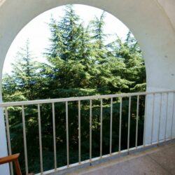 1-комнатный 2-местный улучшенный юг, корп. 5 1-комнатный 2-местный улучшенный юг, корп. 5