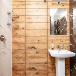 IMG_3881 copy IMG_3881 copy