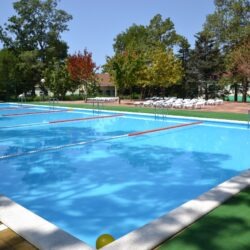 ДОЦ Медвежонок