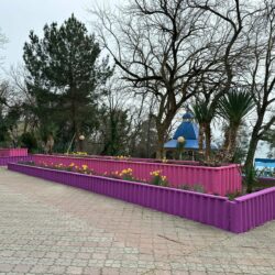 ДОЛ Созвездие