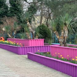 ДОЛ Созвездие