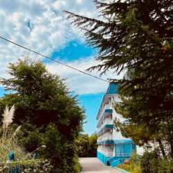 ДОЛ Созвездие