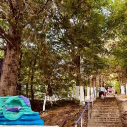 ДОЛ Созвездие