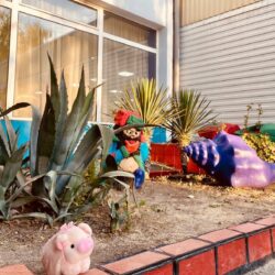 ДОЛ Созвездие