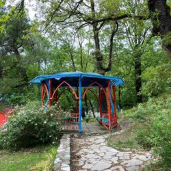 ДОЛ Созвездие