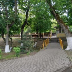 ДОЦ Медвежонок