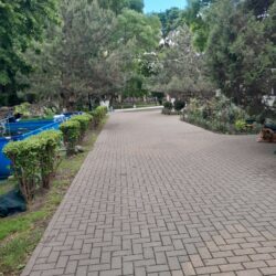 ДОЦ Медвежонок