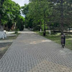 ДОЦ Медвежонок