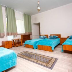 ДОЛ Гагарина