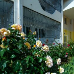 Детский оздоровительный лагерь 